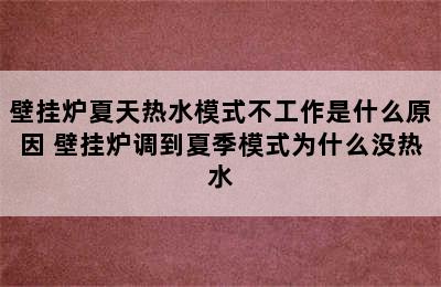 壁挂炉夏天热水模式不工作是什么原因 壁挂炉调到夏季模式为什么没热水